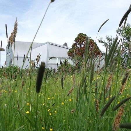 Eyvindarholt Guesthouse Álftanes Exteriör bild