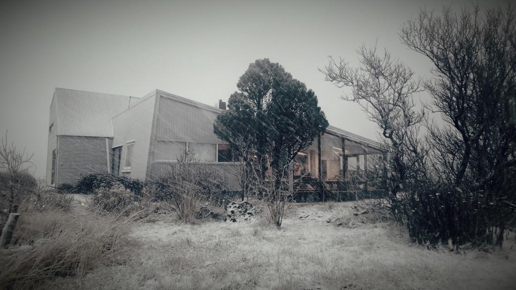 Eyvindarholt Guesthouse Álftanes Exteriör bild