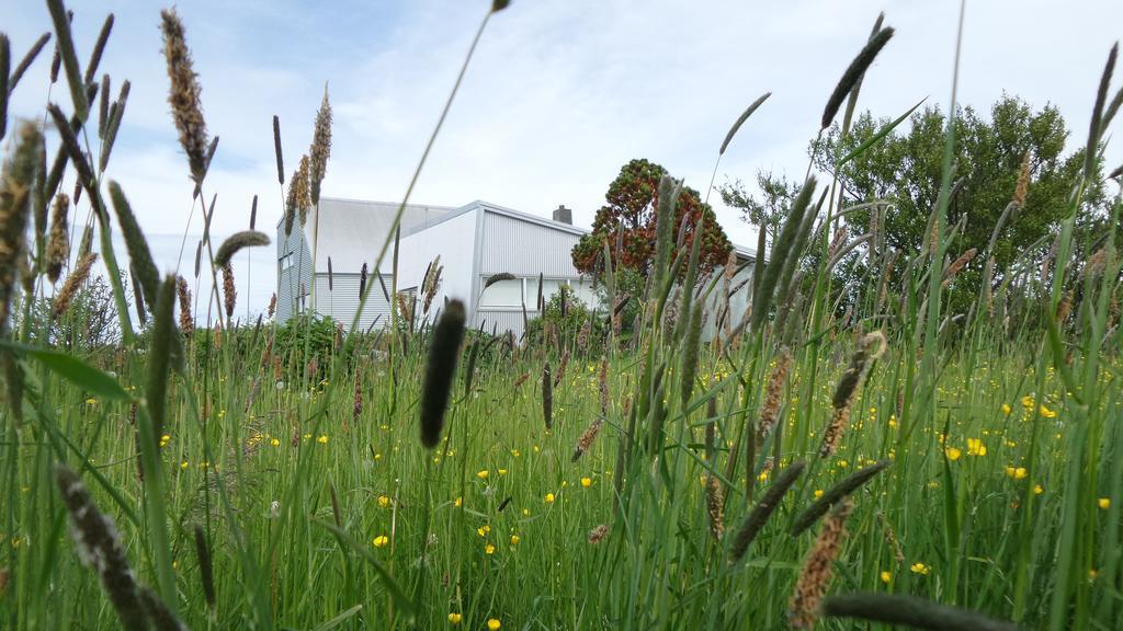 Eyvindarholt Guesthouse Álftanes Exteriör bild