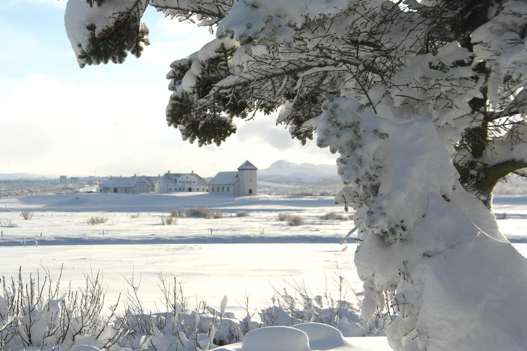 Eyvindarholt Guesthouse Álftanes Exteriör bild