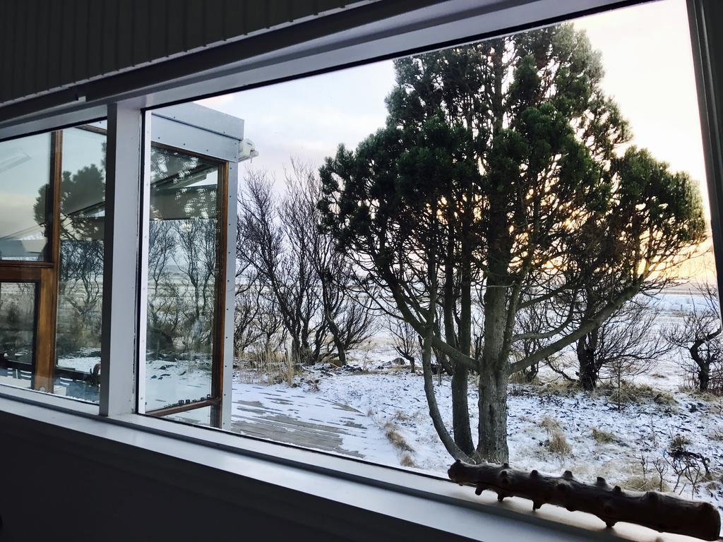 Eyvindarholt Guesthouse Álftanes Exteriör bild